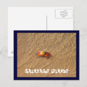 ガラパゴス諸島 ポストカード (正面/裏面)