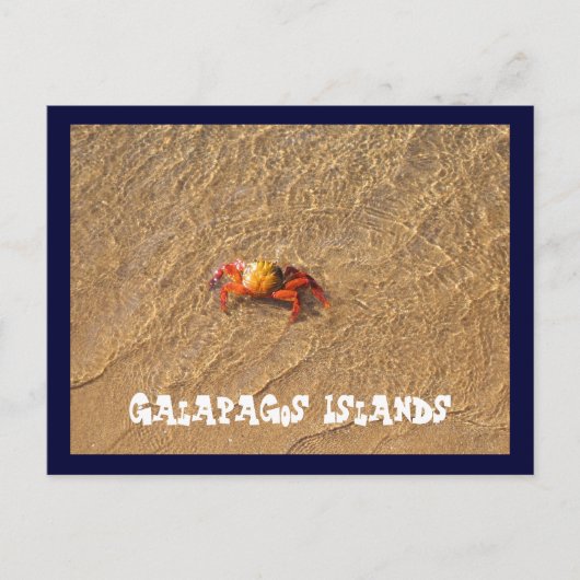 ガラパゴス諸島 ポストカード (正面)