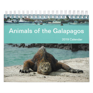 ガラパゴス2019のカレンダーの動物 カレンダー