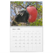 ガラパゴス! カレンダー (3月 2026)