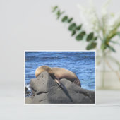 ガラパゴス ポストカード (スタンド正面)