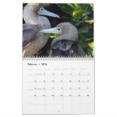 ガラパゴス- 12か月の壁掛けカレンダー カレンダー (2月 2026)