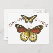 ガラパゴ諸島エンブレムロゴ ポストカード (正面/裏面)