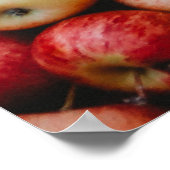 ガラリンゴ ポスター (角)