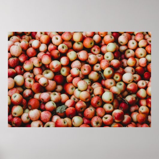 ガラリンゴ ポスター (正面)