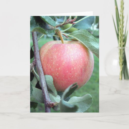 ガラリ王室のンゴ カード (正面)