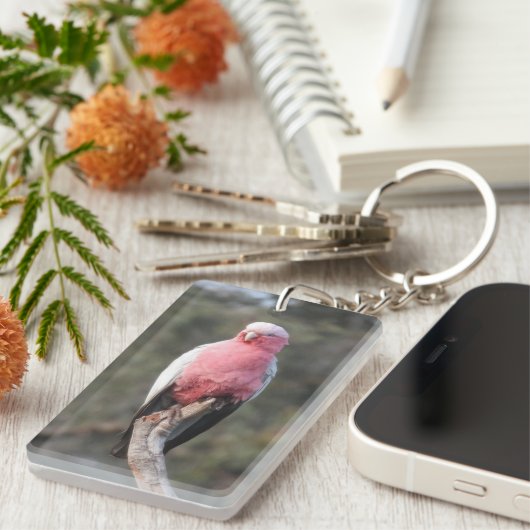 ガラ キーホルダー (正面右)