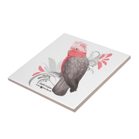 ガラ・コカトー タイル (側面)