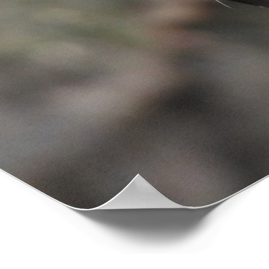 ガラ ポスター (角)