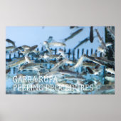 ガラ・ルファ剥離 ポスター (正面)