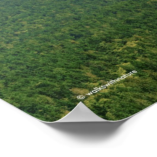 ガリアーノから見られる南部の湾岸山 ポスター (角)