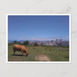 ガリシア語（スペイン） ポストカード