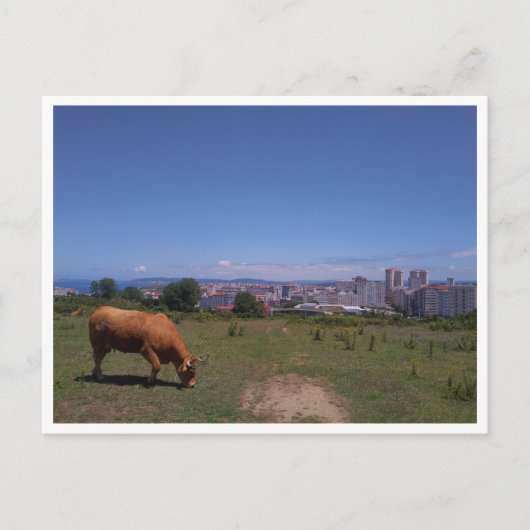 ガリシア語（スペイン） ポストカード (正面)