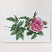 ガリックピンクローズフラワーヴィンテージオールドイラストレーション ジグソーパズル (横)