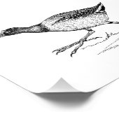 ガリヌールバードスケッチ フォトプリント            (角)