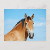 ガリバーヘッドショットはがき ポストカード (正面)