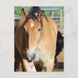 ガリバー舌はがき ポストカード