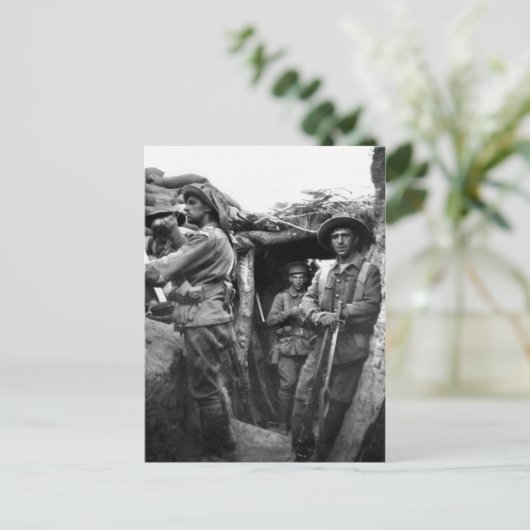 ガリポリでデジガースを見せるポストカード ポストカード (スタンド正面)