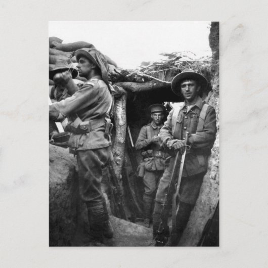 ガリポリでデジガースを見せるポストカード ポストカード (正面)