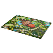 ガリラエアコーン カッティングボード (角)