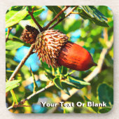 ガリラエアコーン コースター (正面)