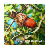 ガリラエアコーン タイル (正面)