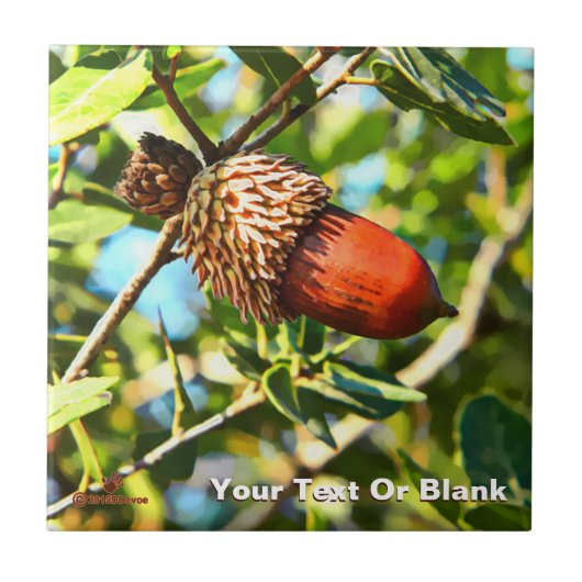 ガリラエアコーン タイル (正面)