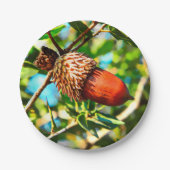 ガリラエアコーン ペーパープレート (正面)