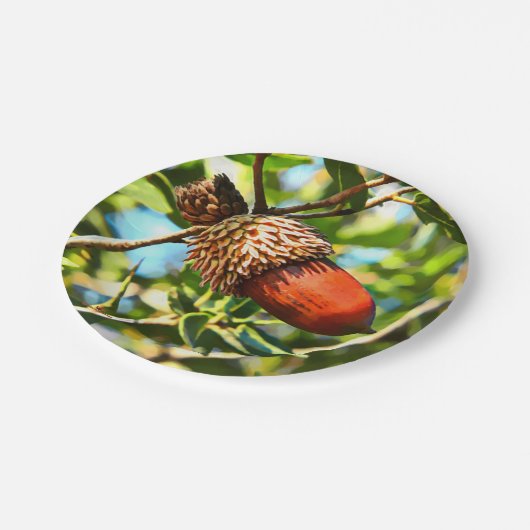 ガリラエアコーン ペーパープレート (アングル)