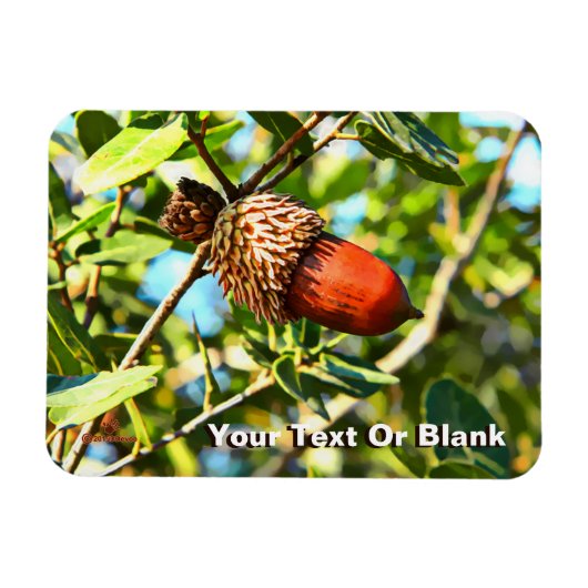 ガリラエアコーン マグネット (横)