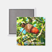 ガリラエアコーン マグネット (正面/裏面)