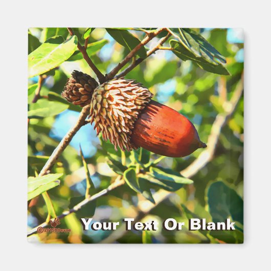 ガリラエアコーン マグネット (正面)