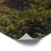 ガリラヤの海で ポスター (角)