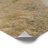 ガリラヤの海、あなたのハートを困らせるな ポスター (角)