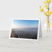 ガリラヤの海, イスラエル カード (黄色い花)