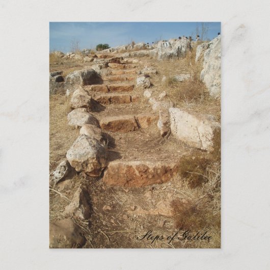 ガリラヤはがきのステップ ポストカード (正面)