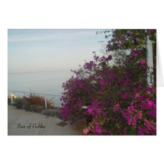 ガリラヤカードの海