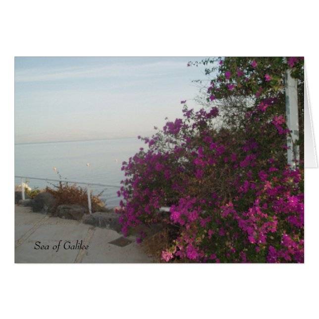 ガリラヤカードの海 (正面横)