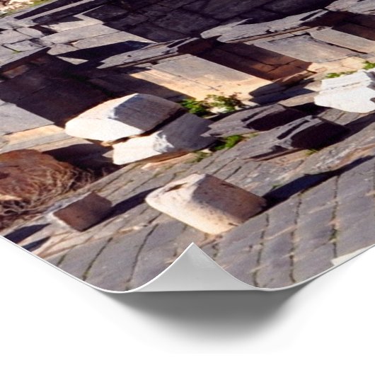 ガリラヤ海 ポスター (角)