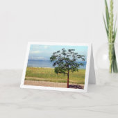 ガリラヤ湖, イスラエルの風景 カード (正面)