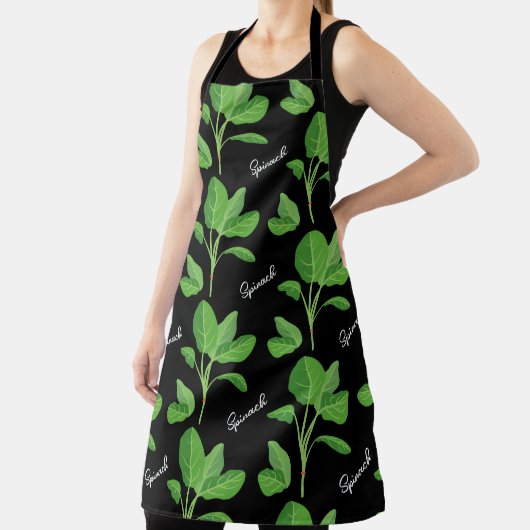 ガリラヤ エプロン (インサイチュ)