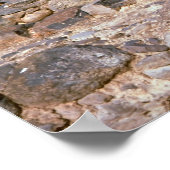 ガリラヤ，考古学的遺跡，カペルナウム ポスター (角)