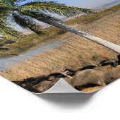 ガリリー海イスラエルカンバスプリント ポスター (角)