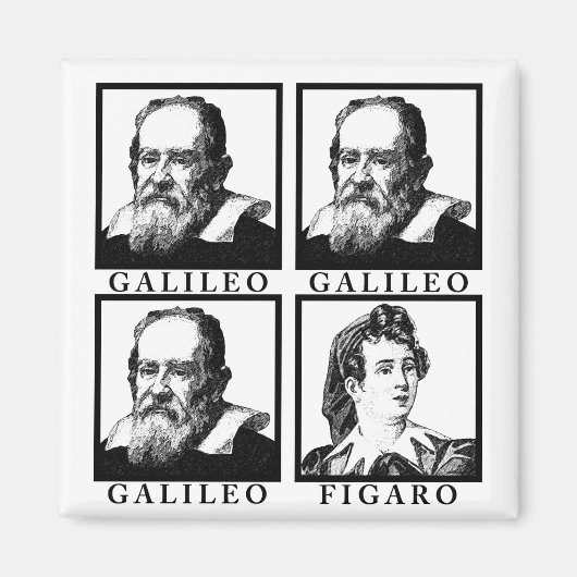 ガリレオ・フィガロBW マグネット (正面)