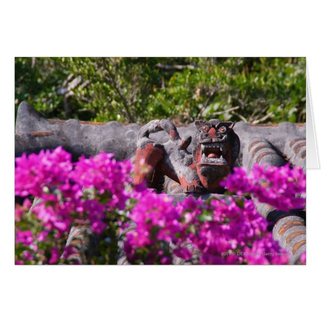 ガリ日本のー (正面横)