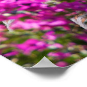 ガリ日本のー ポスター (角)