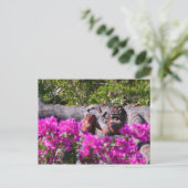 ガリ日本のー ポストカード (スタンド正面)