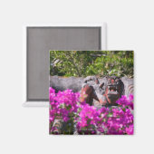 ガリ日本のー マグネット (正面/裏面)