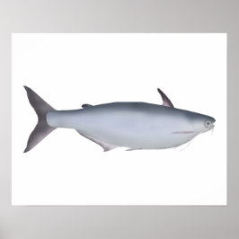 ガルアバッチャ ポスター