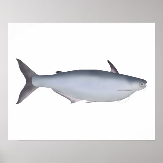 ガルアバッチャ ポスター (正面)